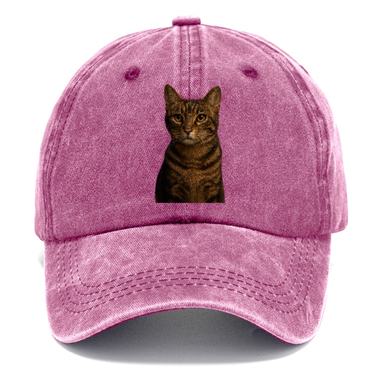 brown-tabby-playful-spirit Hat