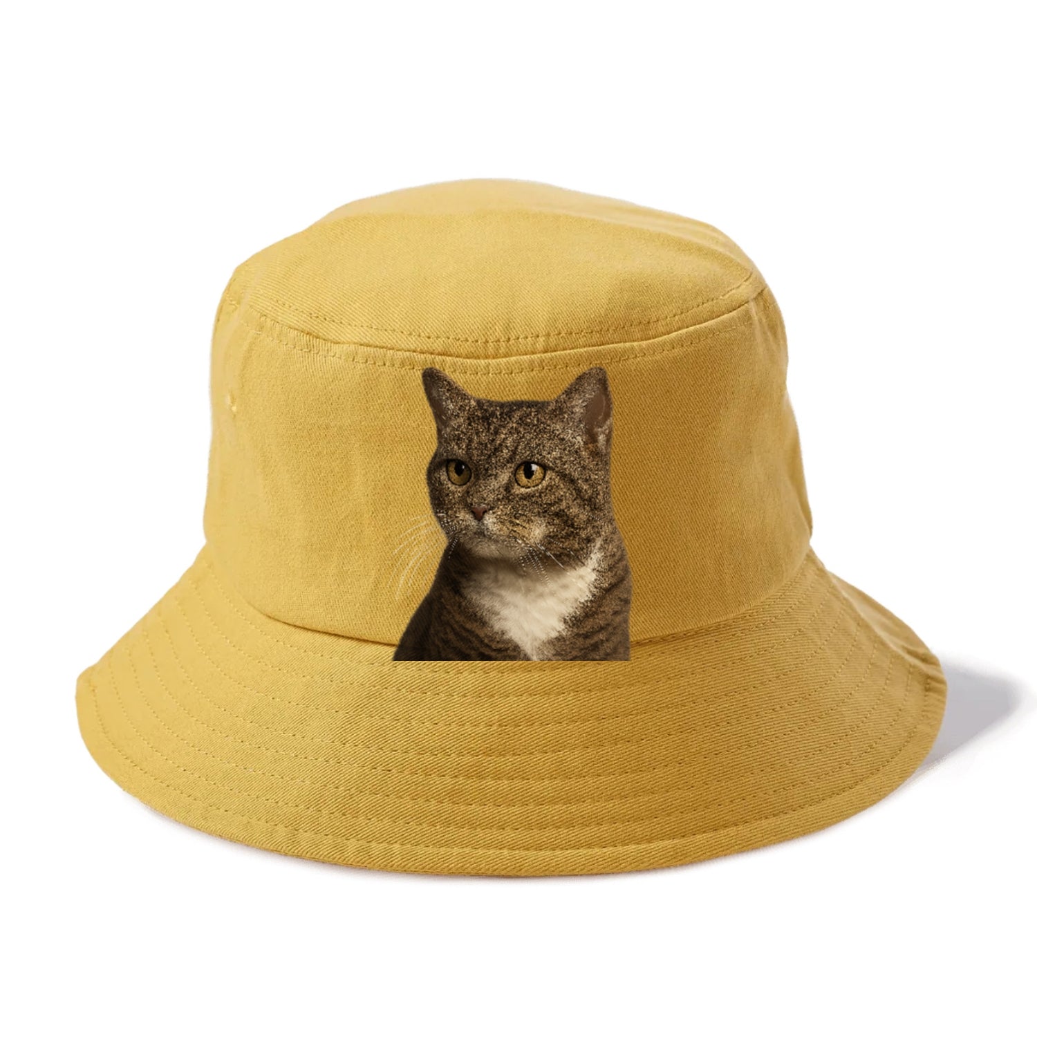 american-wirehair-unique-charm Hat