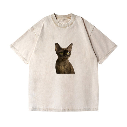 singapura-elegant-gaze Hat