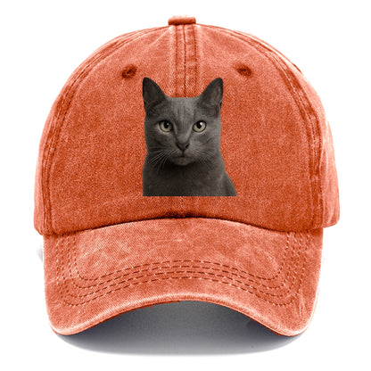 russian blue portrait design Hat