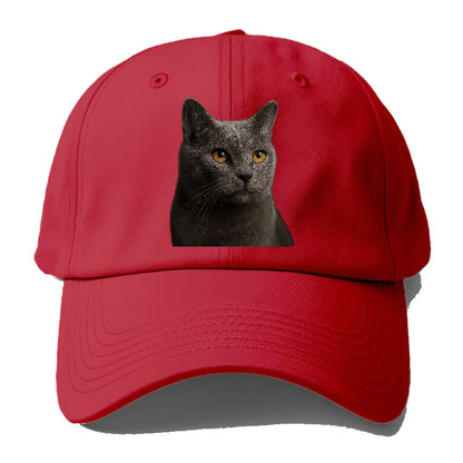 chartreux-quiet-grace Hat