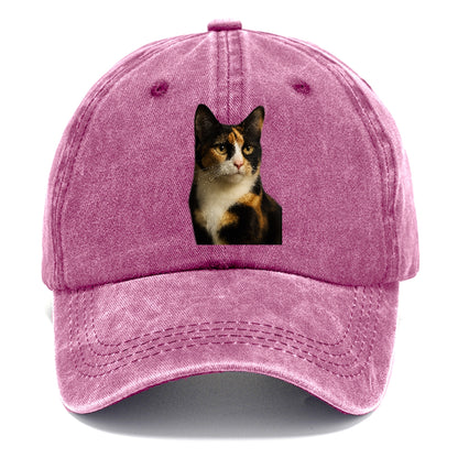 calico-mix-vibrant-spirit Hat