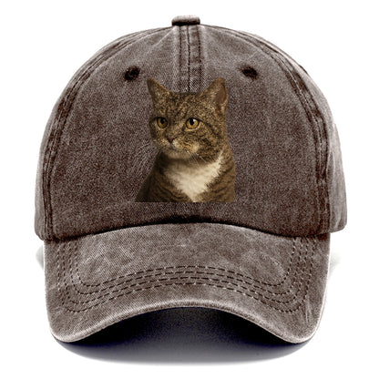 american-wirehair-unique-charm Hat