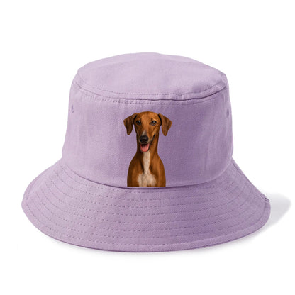 azawakh portrait design Hat