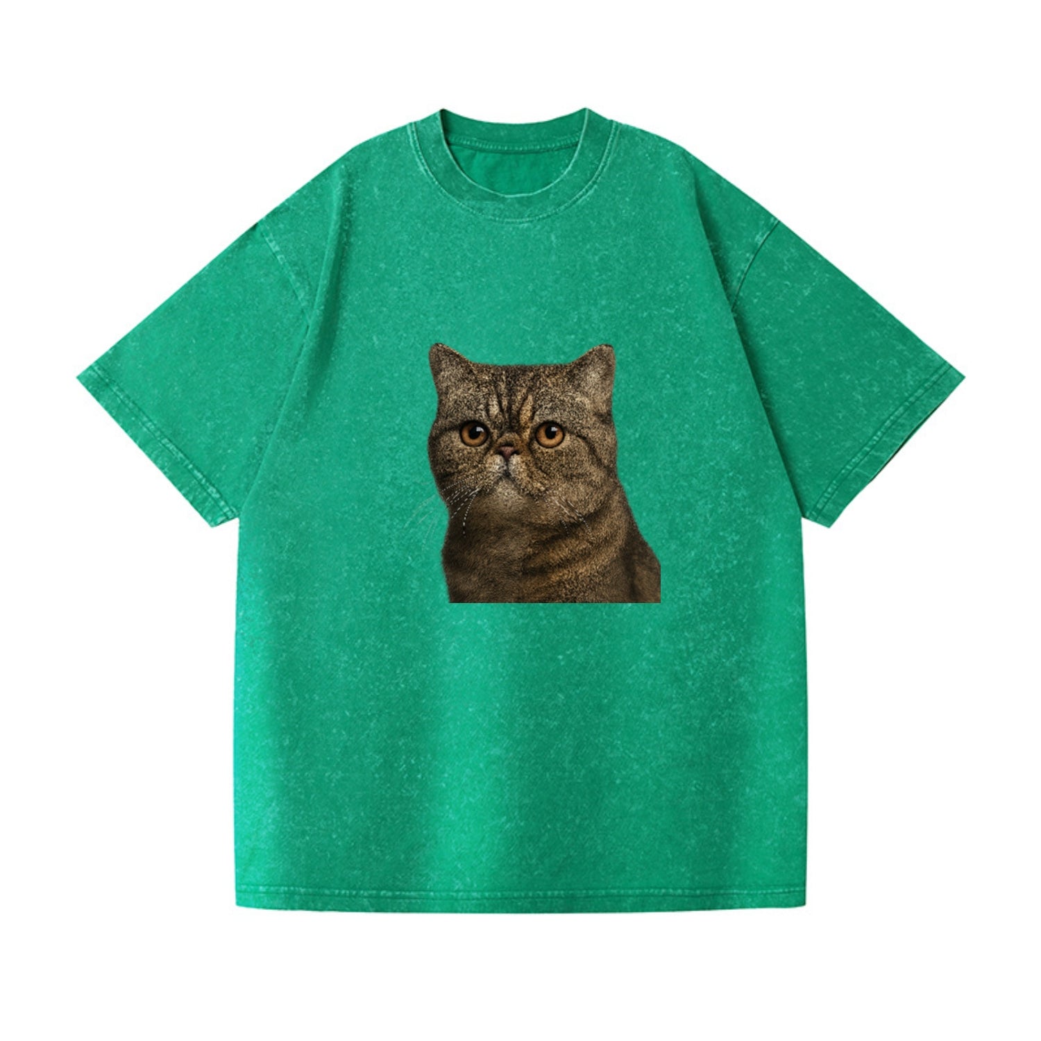 exotic-shorthair-calm-demeanor Hat