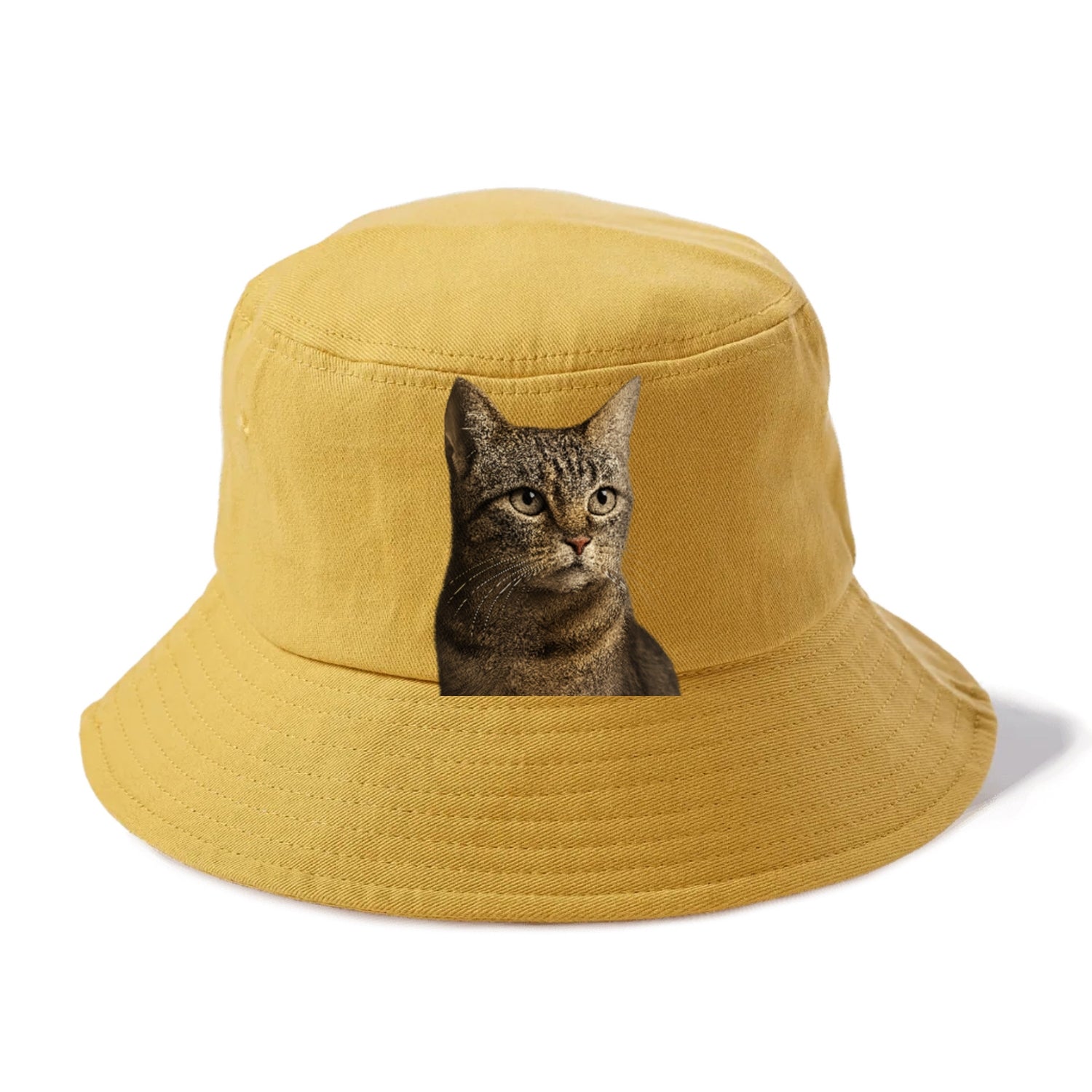 stray-cat-resilient-spirit Hat
