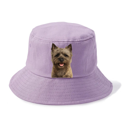 cairn terrier: spirited & charming scamp Hat