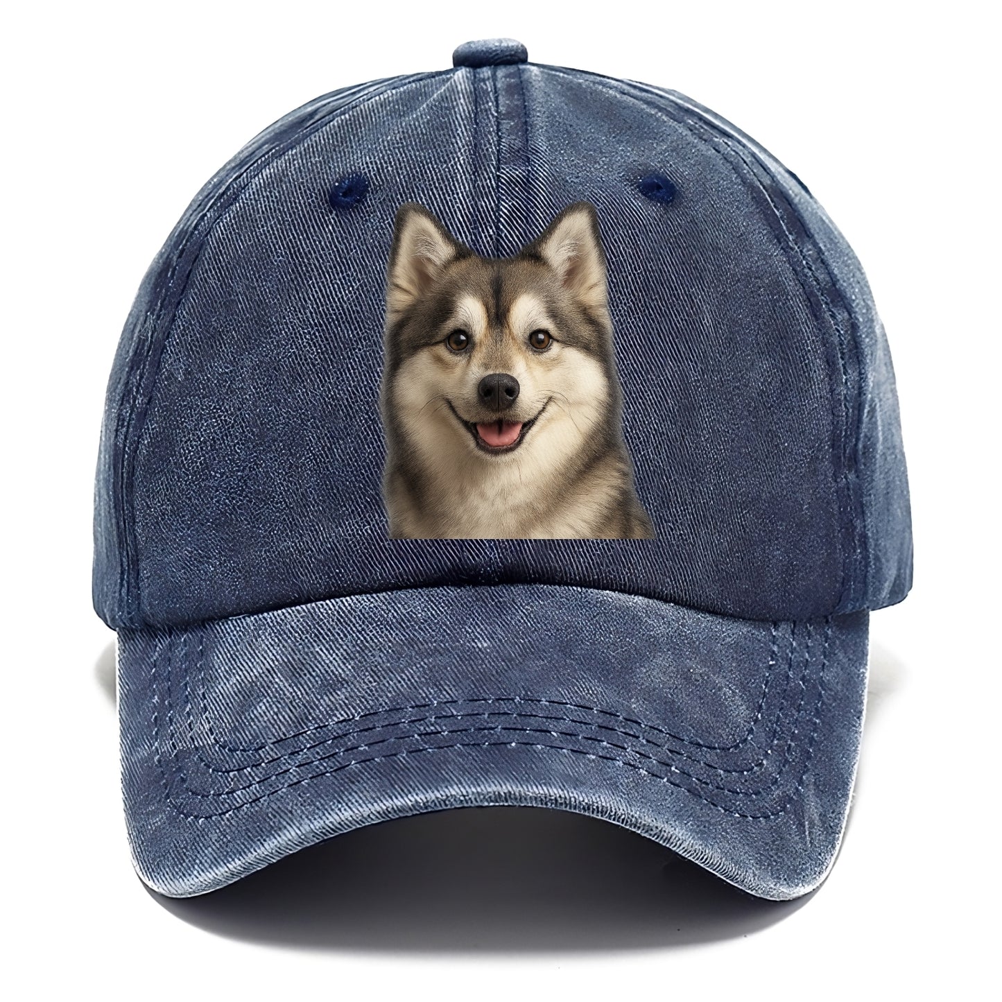 pomsky portrait design Hat