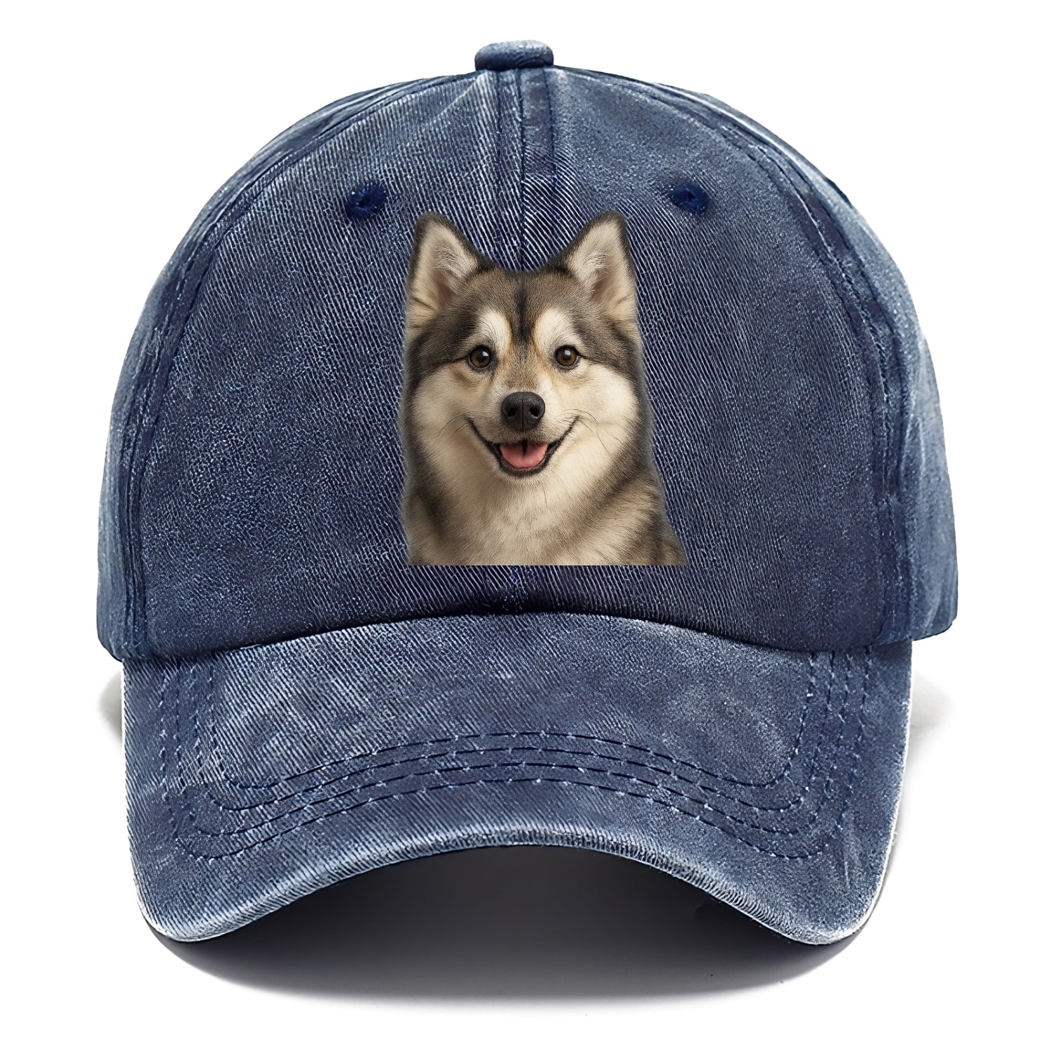 pomsky portrait design Hat