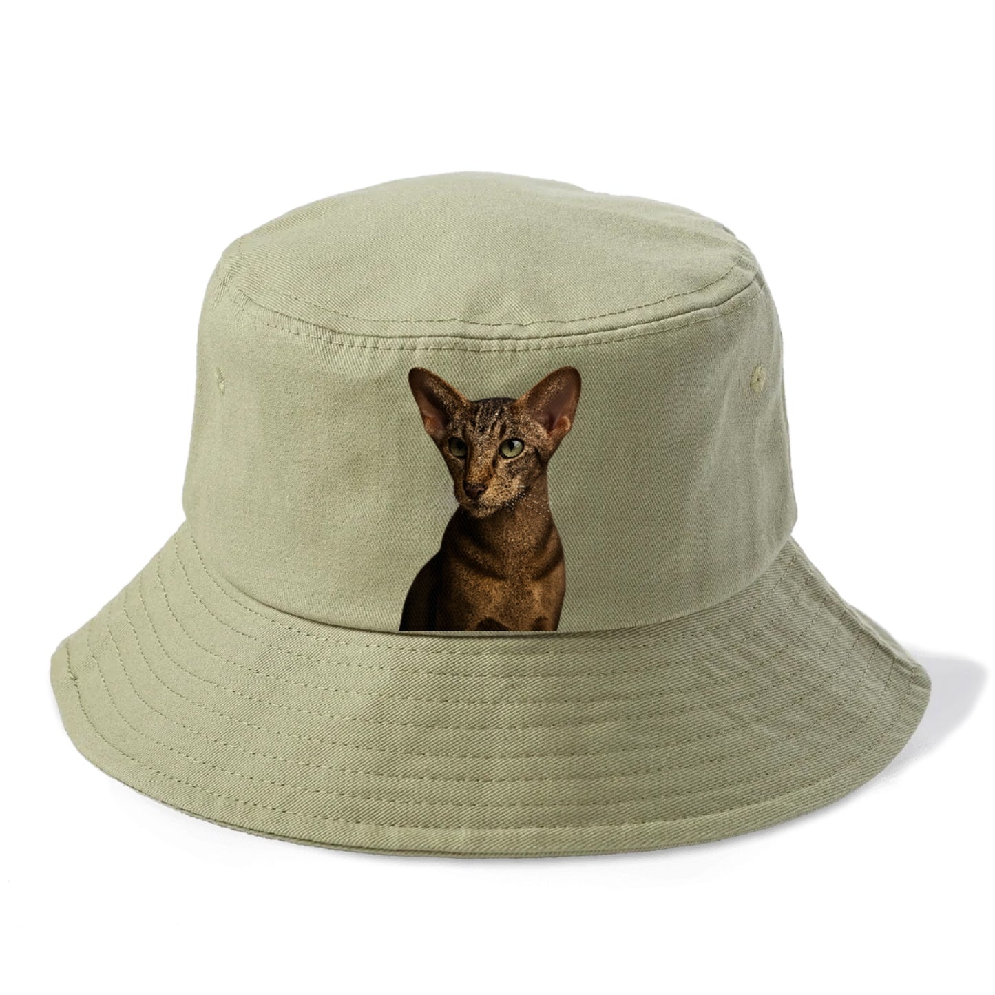 oriental-shorthair-sleek-charm Hat