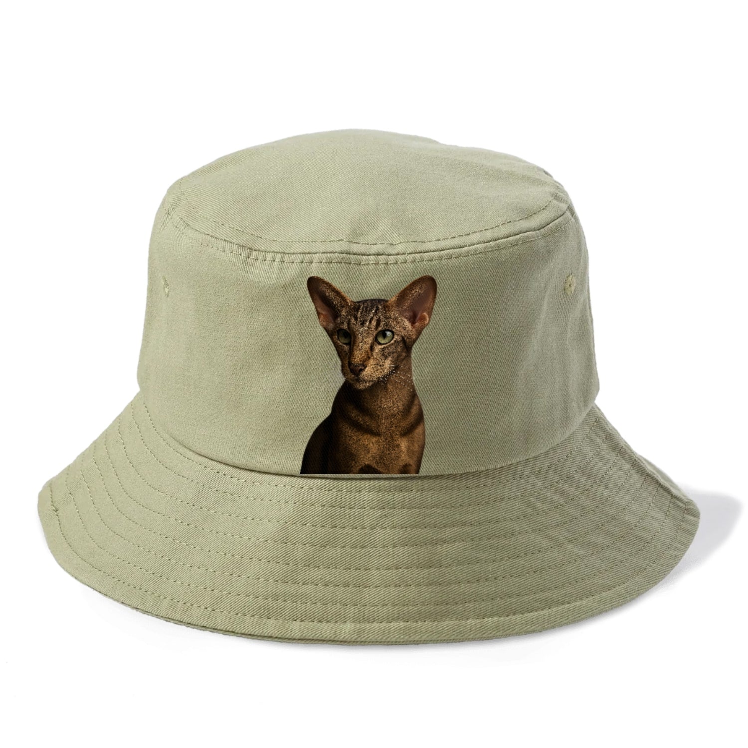 oriental-shorthair-sleek-charm Hat