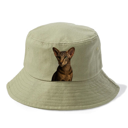 oriental-shorthair-sleek-charm Hat