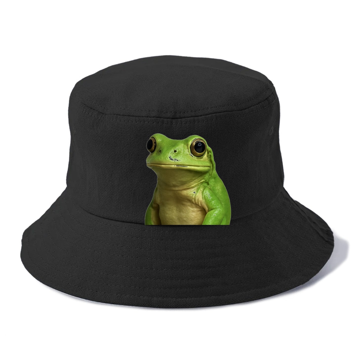 frog portrait design Hat