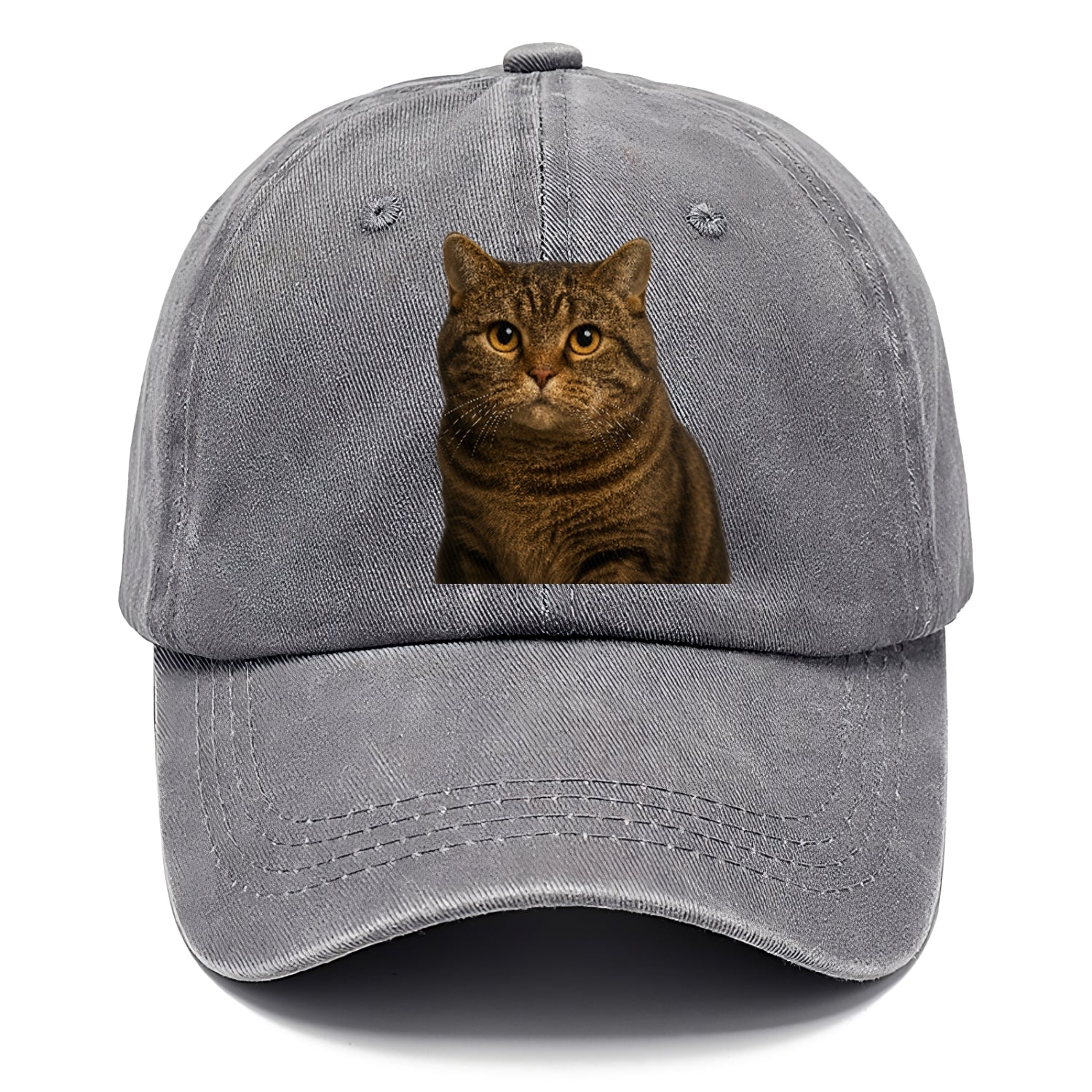 manx-cat-distinct-charm Hat