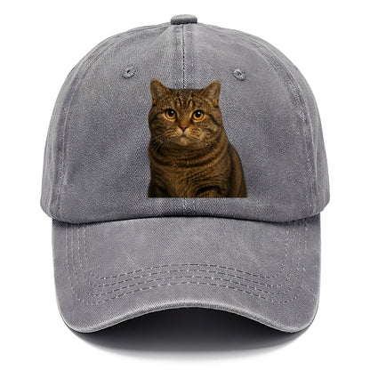 manx-cat-distinct-charm Hat