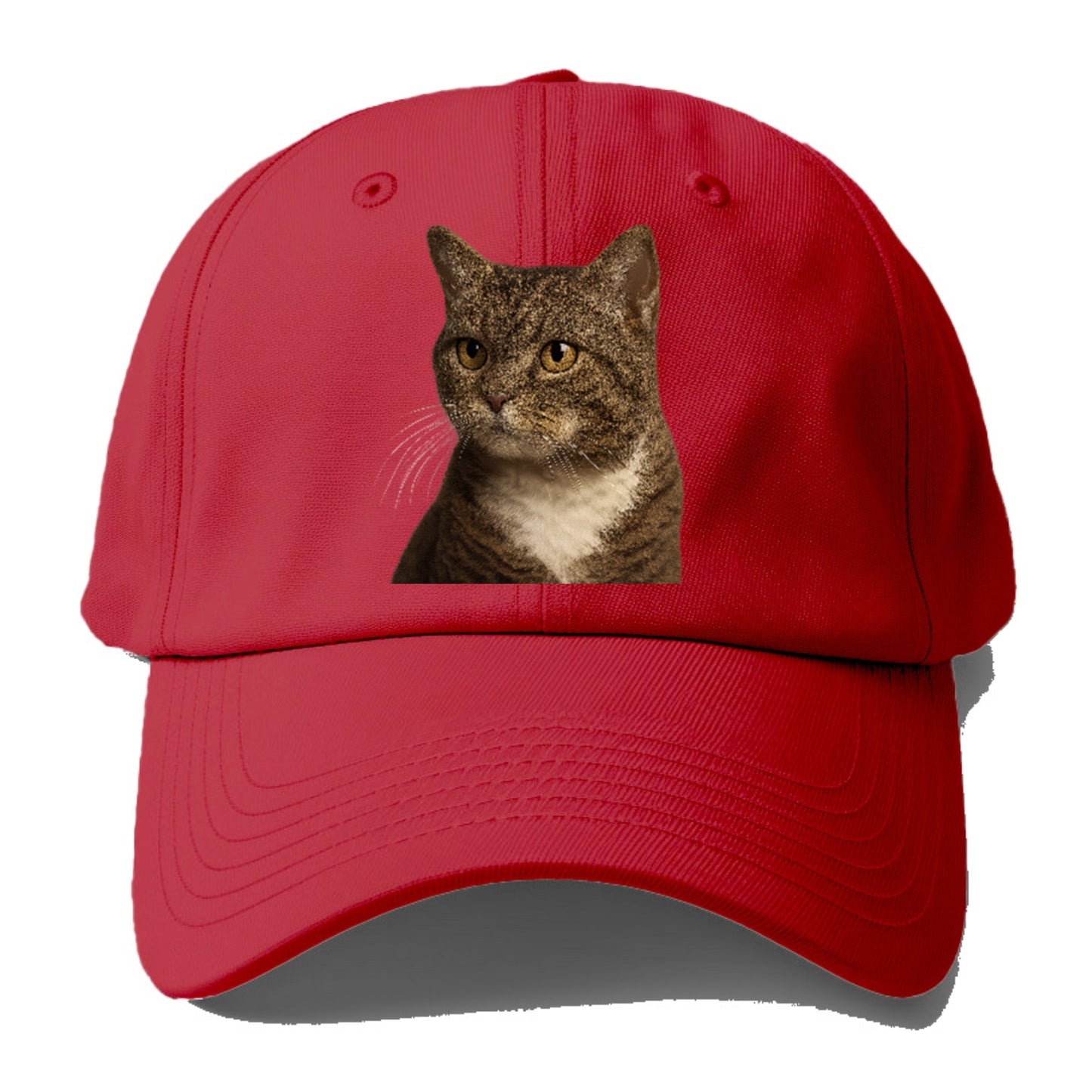 american-wirehair-unique-charm Hat