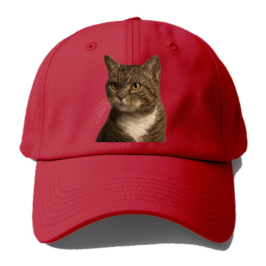 american-wirehair-unique-charm Hat