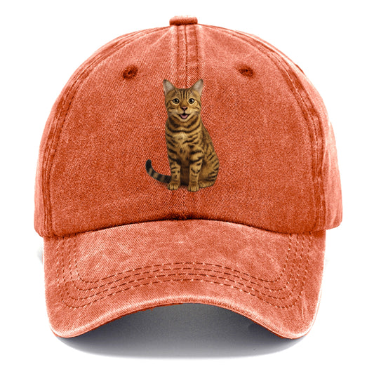 whiskered wonders Hat