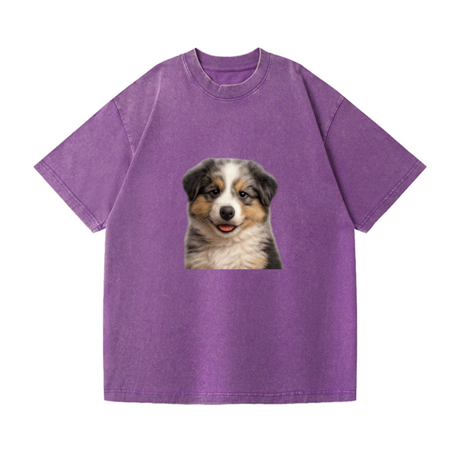 australian shepherd puppy portrait design Hat