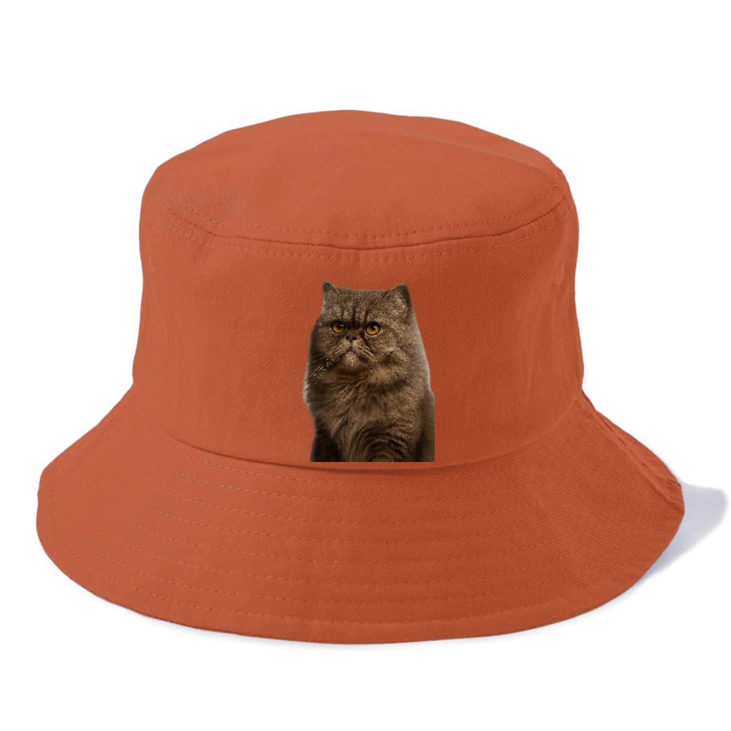 persian-cat-regal-elegance Hat