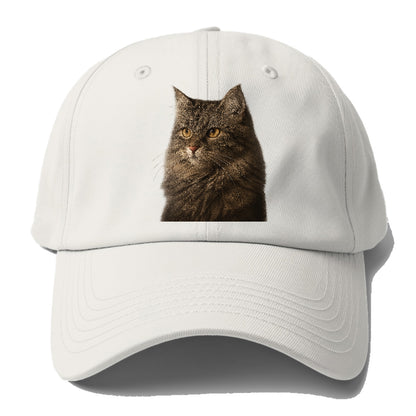 domestic-longhair-graceful-charm Hat