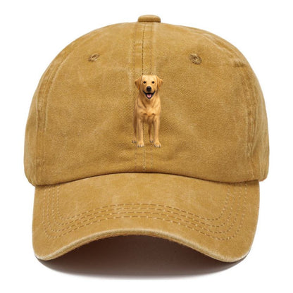 happy golden labrador retriever portrait Hat