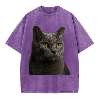 chartreux-quiet-grace Hat