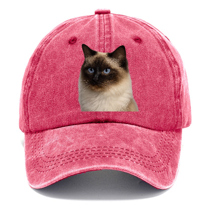 ragdoll-gentle-charm Hat