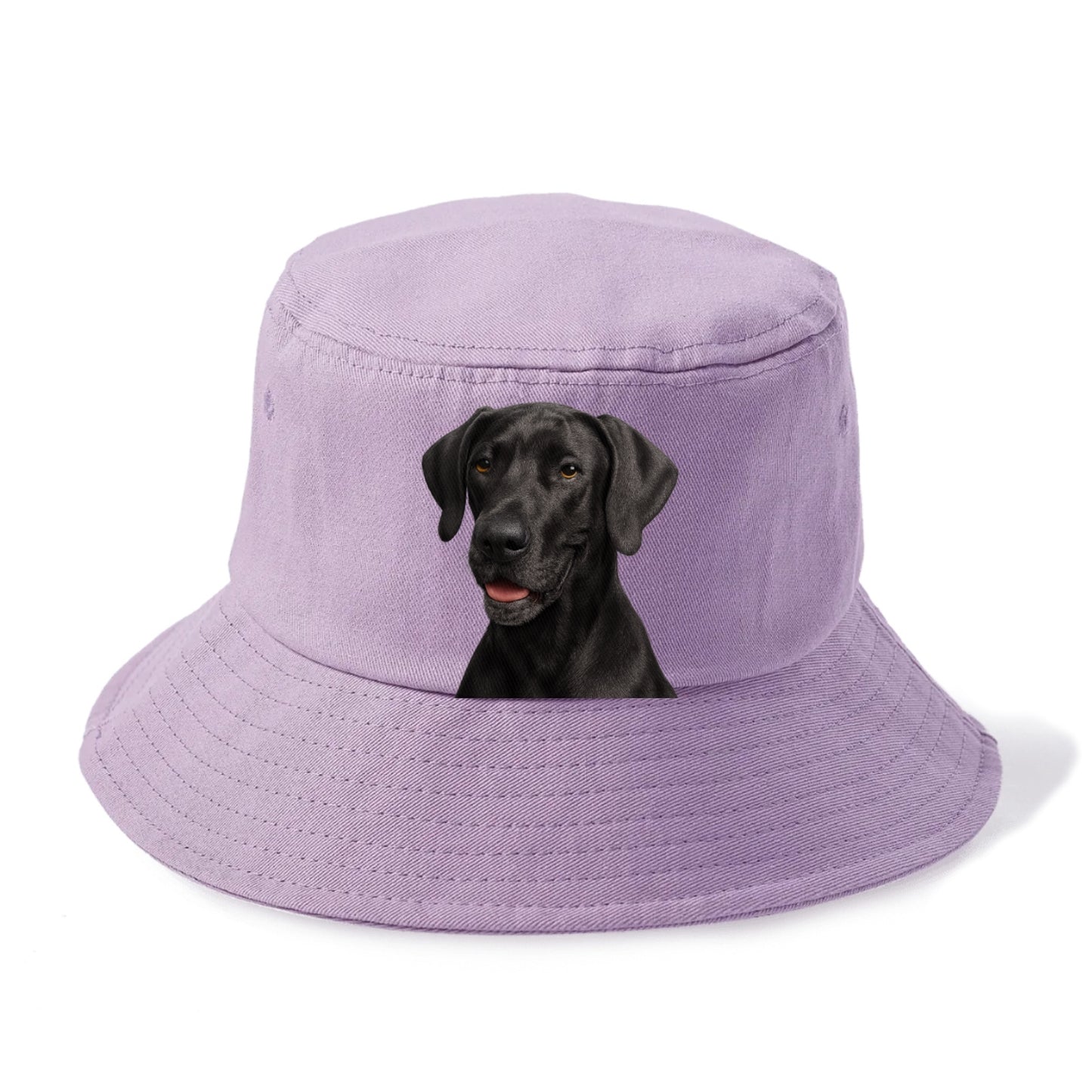 great dane portrait design Hat