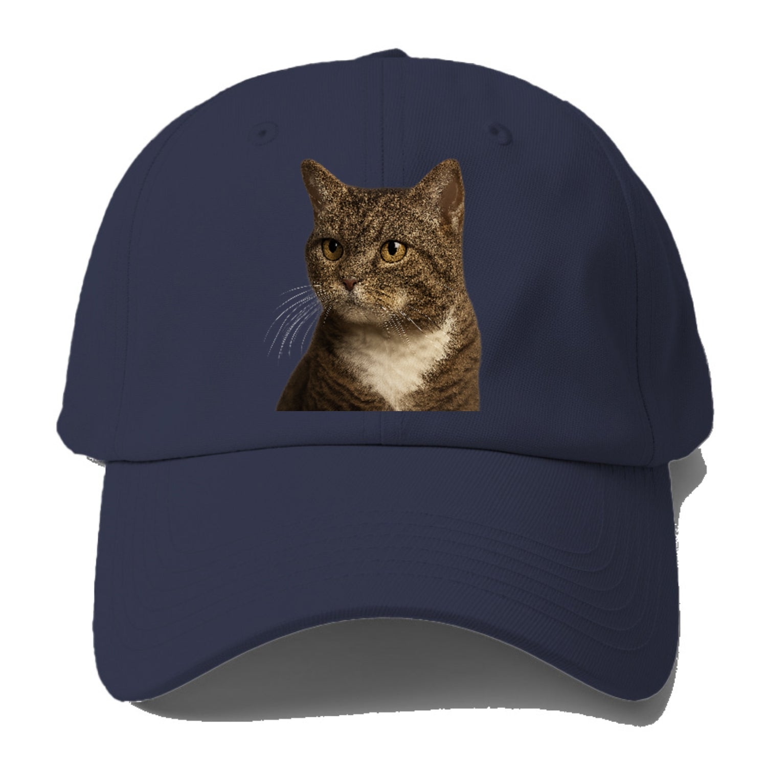 american-wirehair-unique-charm Hat