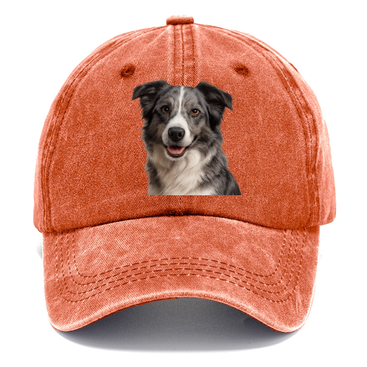 blue merle border collie agile mind Hat