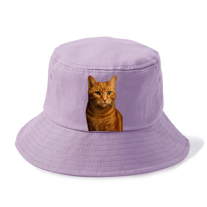 orange-tabby-playful-purr Hat