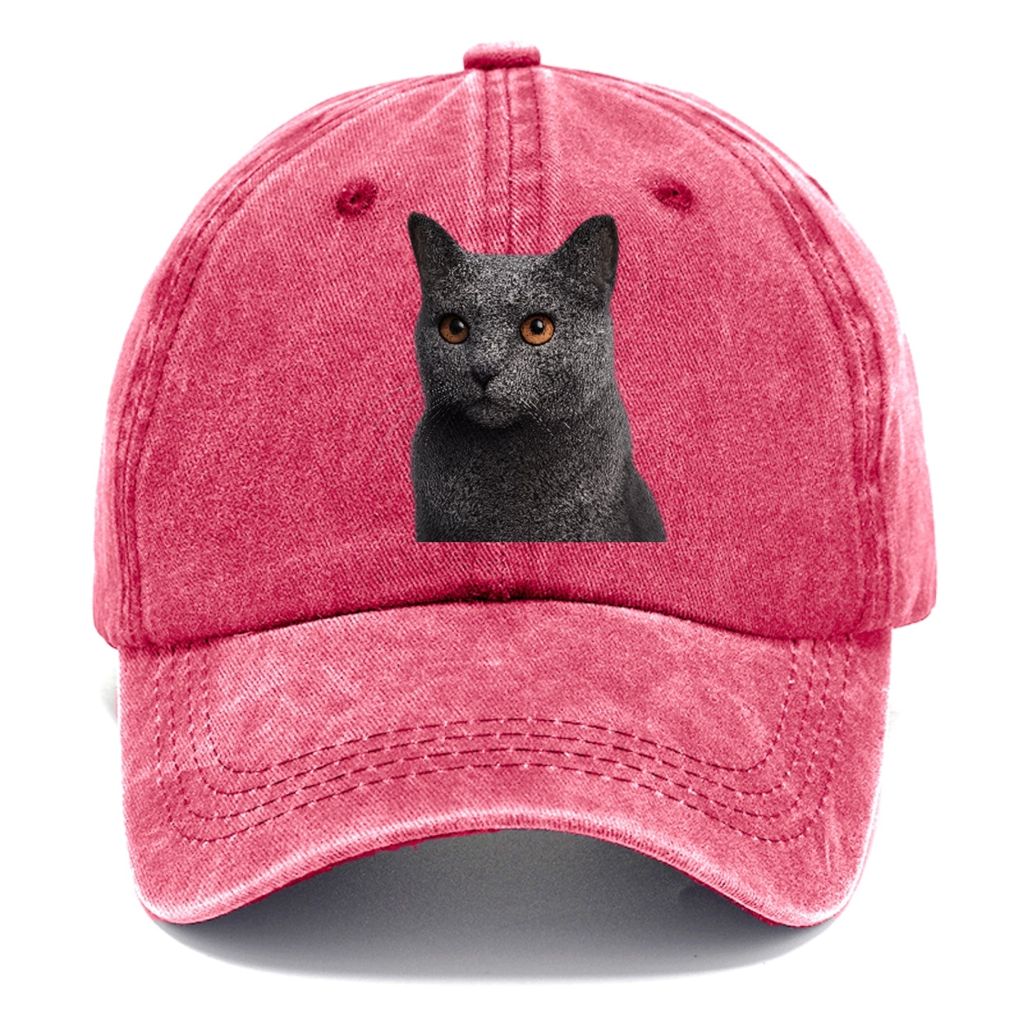 chartreux-regal-charm Hat