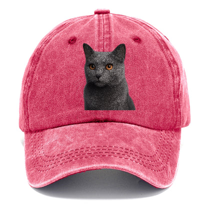 chartreux-regal-charm Hat