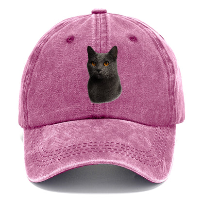 chartreux-gentle-grace Hat