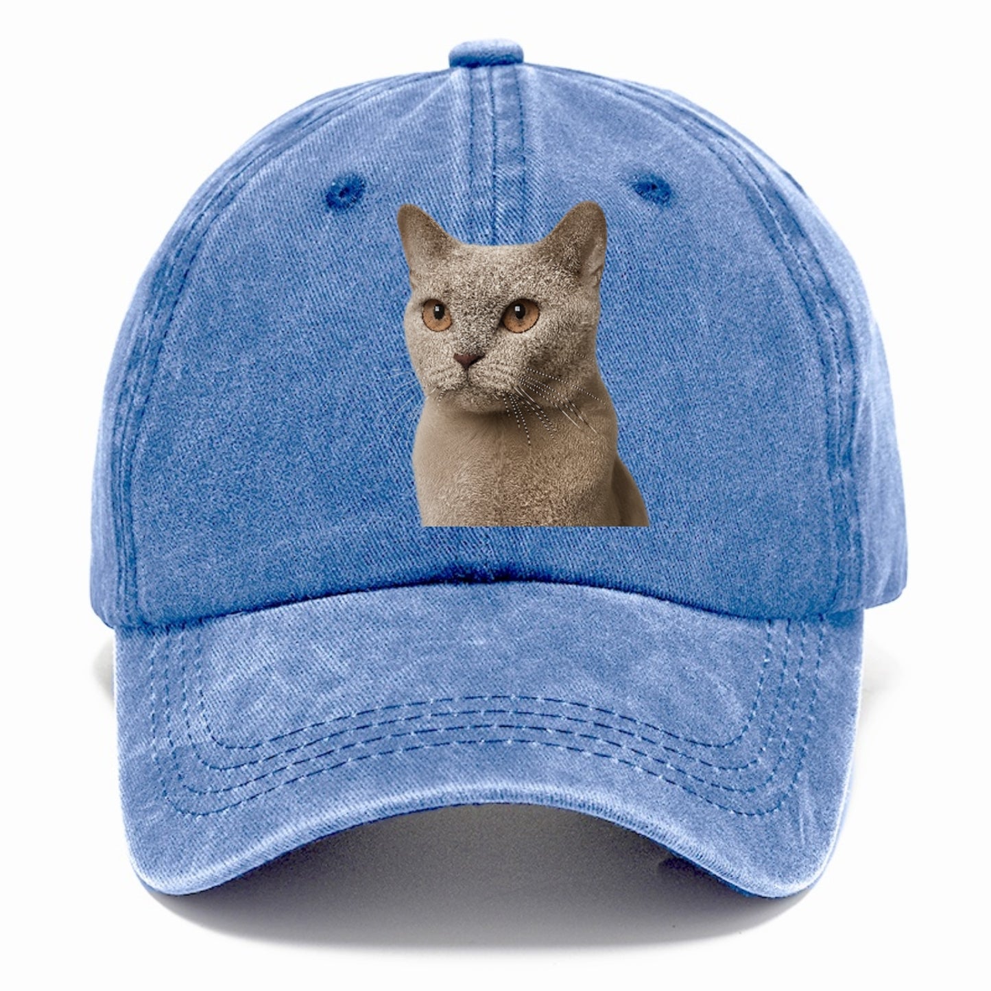 lilac-cat-playful-spirit Hat