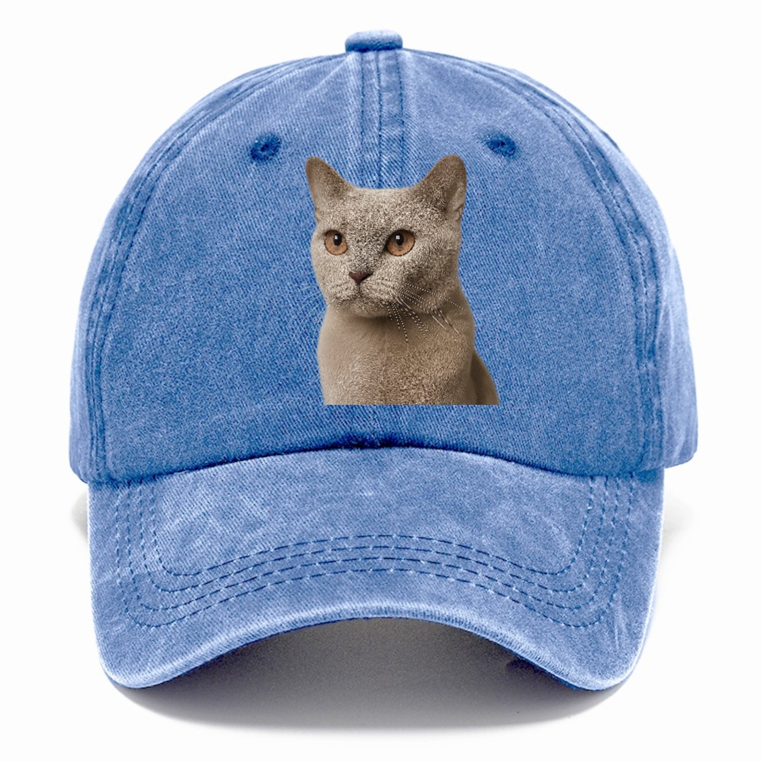lilac-cat-playful-spirit Hat