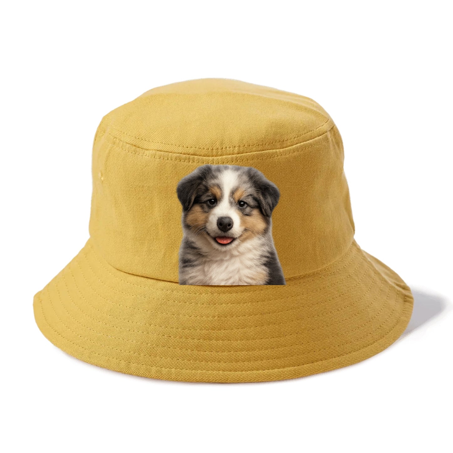 australian shepherd puppy portrait design Hat