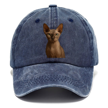 sphynx cat portrait design Hat