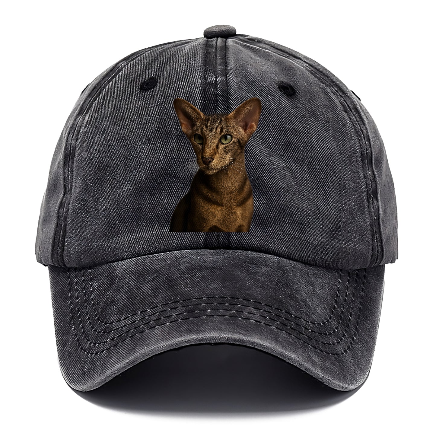 oriental-shorthair-sleek-charm Hat