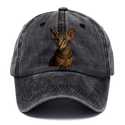oriental-shorthair-sleek-charm Hat