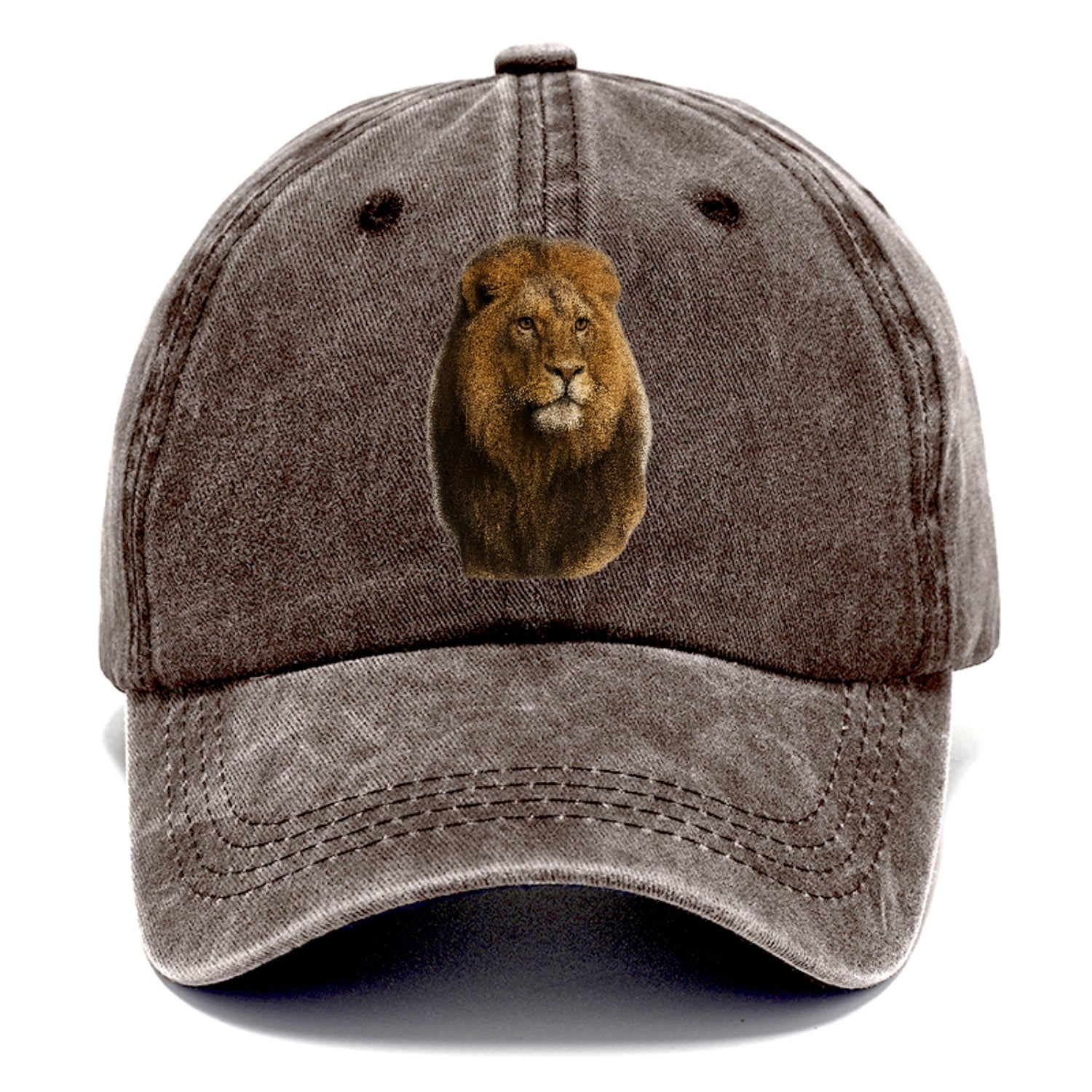 lion-regal-power Hat