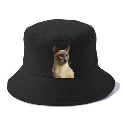 lilac-point-siamese-elegant-mystique Hat