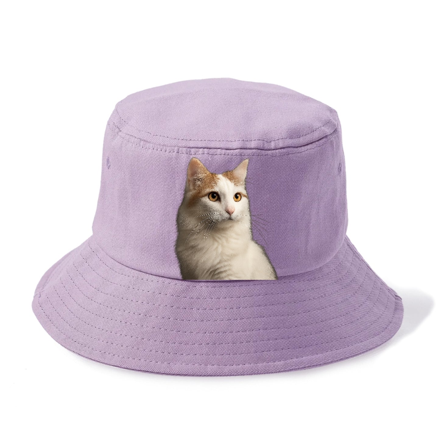 turkish-van-aquatic-elegance Hat