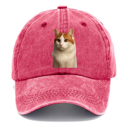 turkish-van-waterloving-spirit Hat
