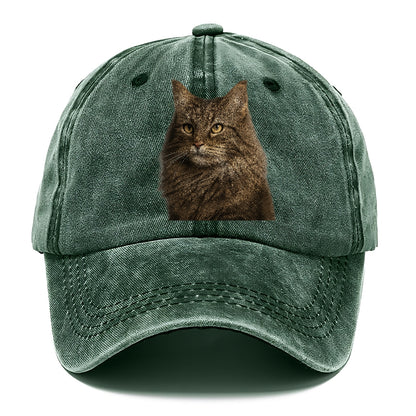 norwegian-forest-cat-wilderness-spirit Hat