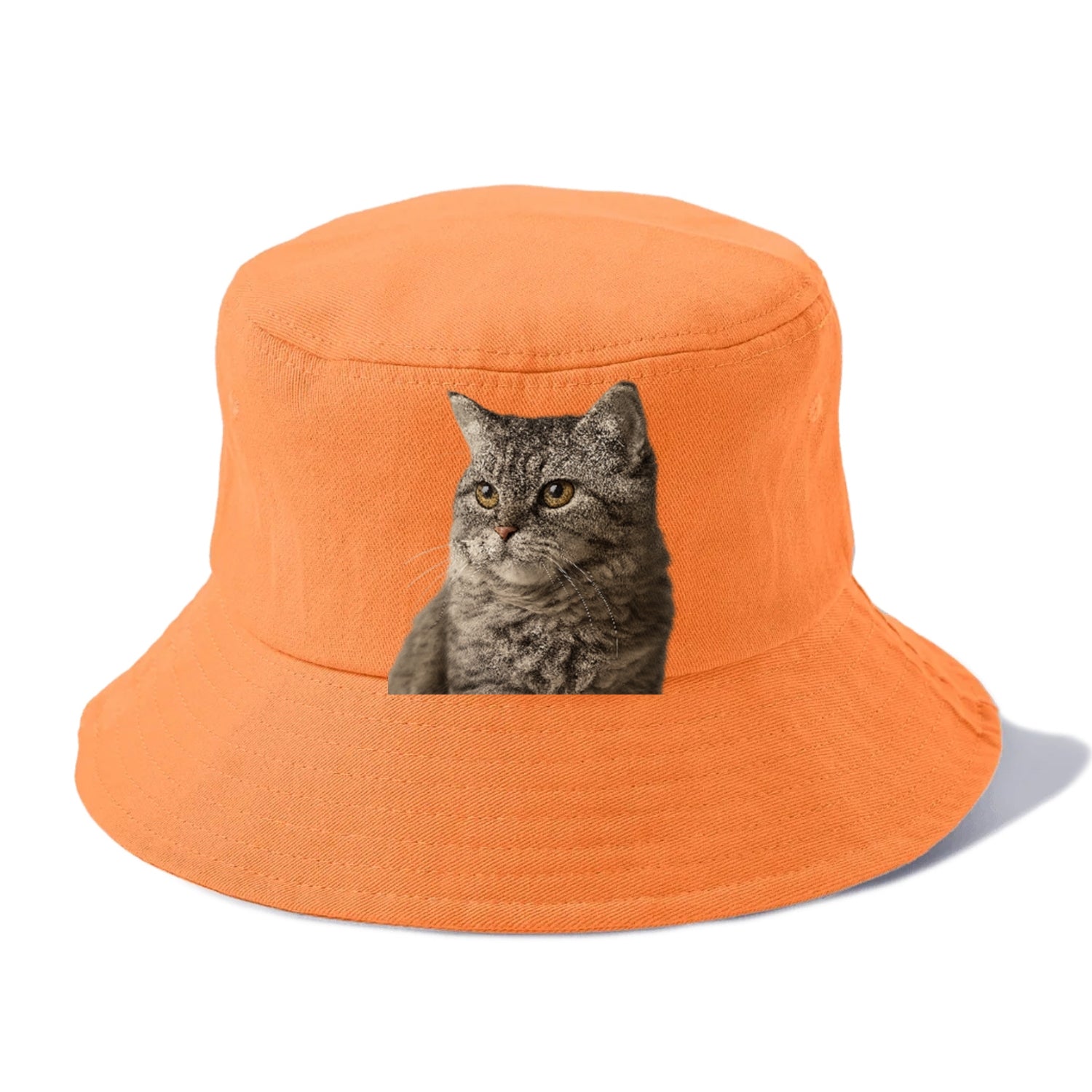 lambkin-gentle-spirit Hat