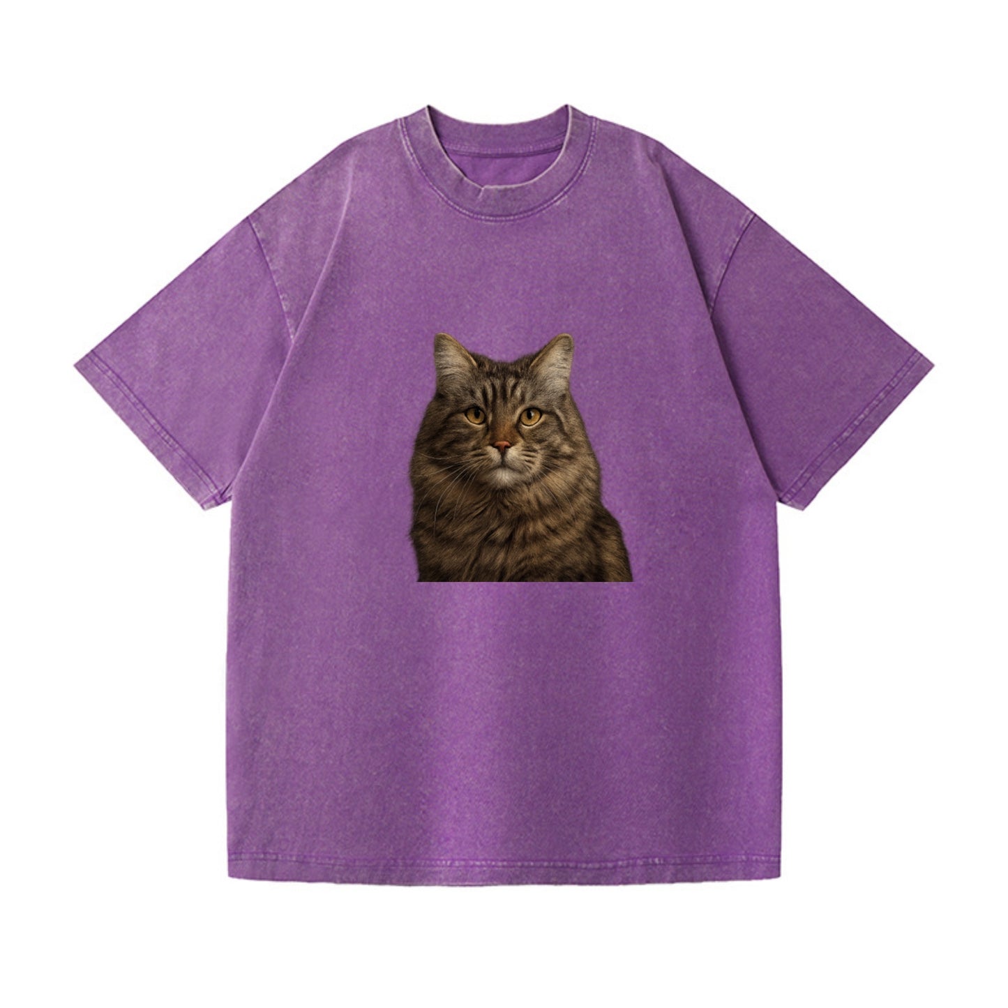 maine coon majestic feline Hat