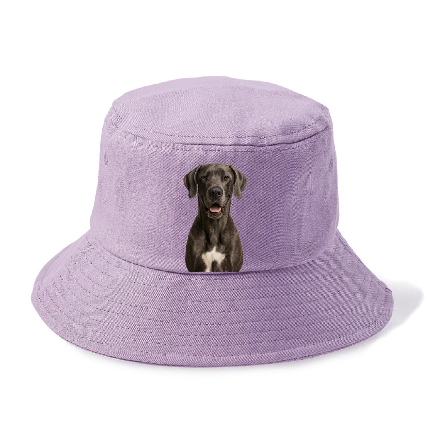 great dane: gentle giant, noble heart Hat