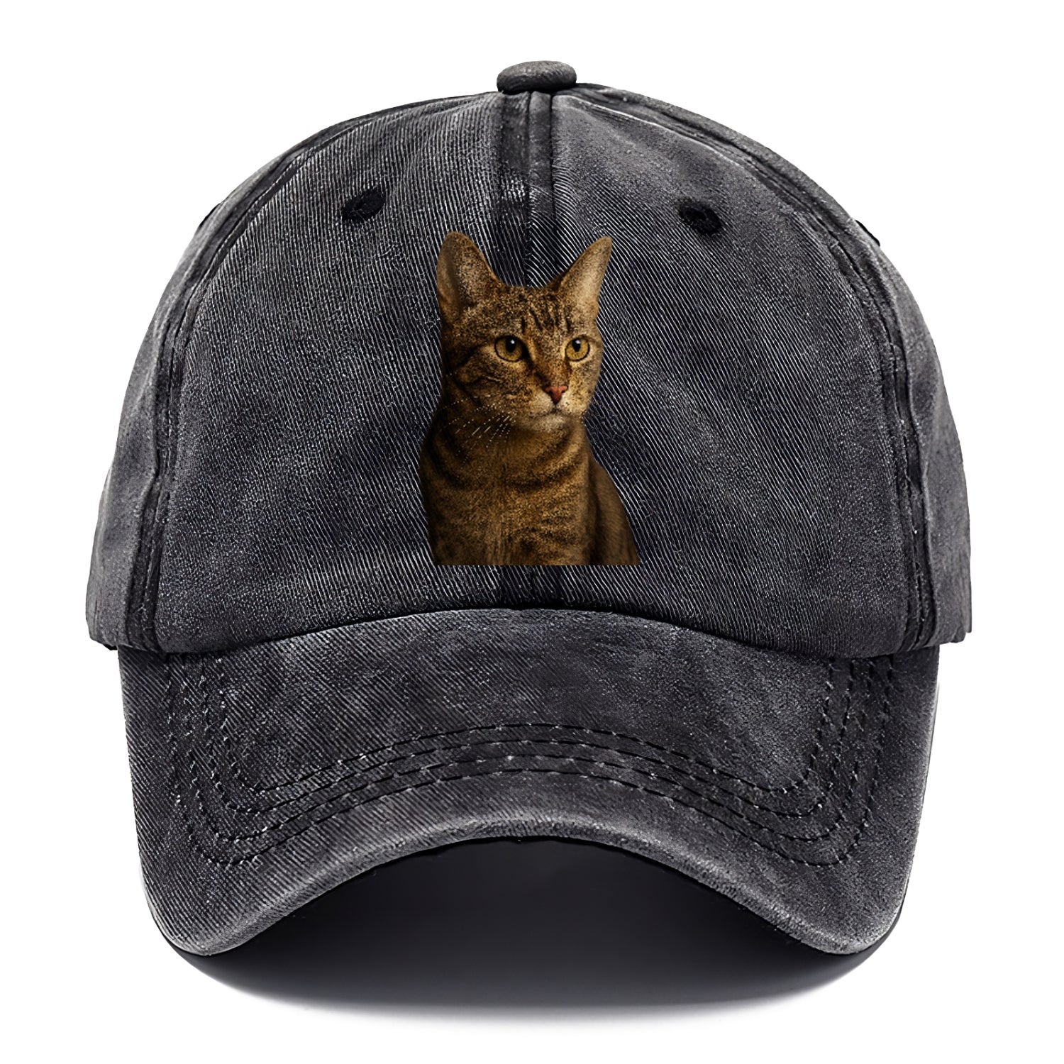 playful-cat-playful-spirit Hat